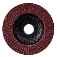 Nylon-Fächerscheibe EvoTools®