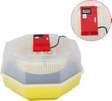 Elektrischer Brutapparat Cleo-5 mit Thermo-Hygrometer