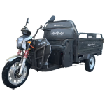 Greuceanu Elektrisches Cargodreirad mit Hydraulischer Kippvorrichtung TRCC1500